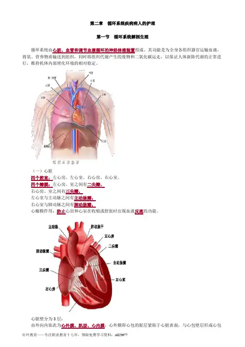 护士资格证知识点总结笔记2循环系统疾病病人的护理