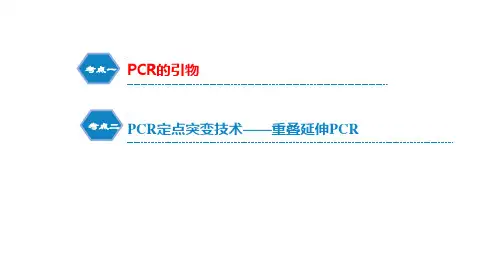 高三二轮复习生物PCR引物设计和定点突变课件