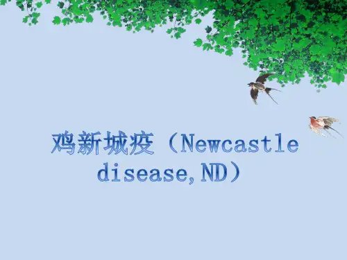 鸡新城疫PPT