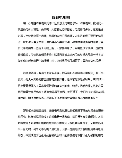 峰谷电规则