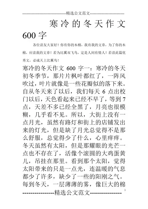 寒冷的冬天作文600字