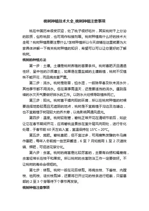 桃树种植技术大全_桃树种植注意事项