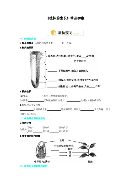 人教版七年级生物上册 《植株的生长》精品学案