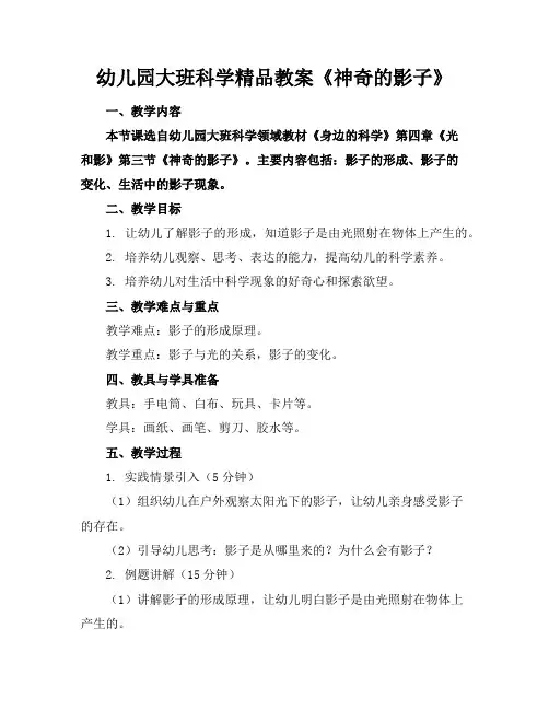 幼儿园大班科学精品教案《神奇的影子》
