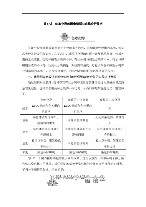 高二生物高考复习第5讲 细胞分裂的图像识别与曲线分析技巧(含答案精析)