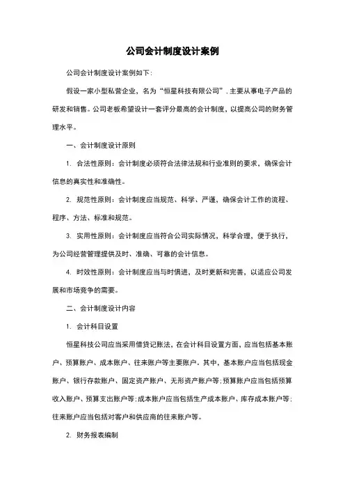 公司会计制度设计案例