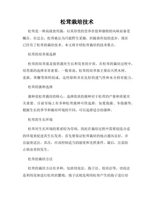 松茸栽培技术