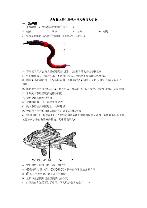 八年级上册生物期末模拟复习知识点