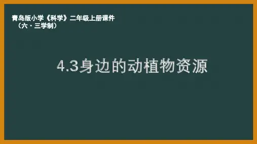 六三制青岛版二年级科学上册14《身边的动植物资源》教学课件
