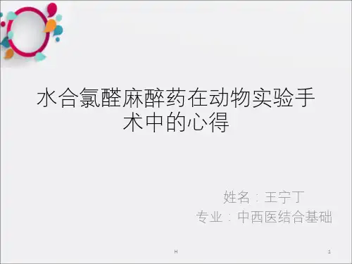 大鼠水合氯醛麻醉的方法