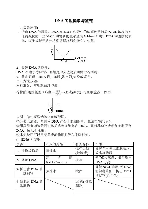 DNA的粗提取与鉴定