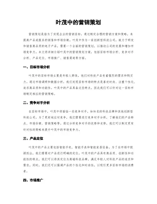叶茂中的营销策划