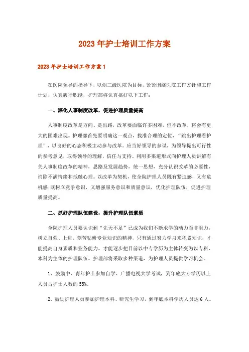 2023年护士培训工作方案
