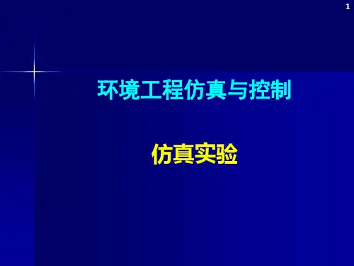 环境工程仿真模拟仿真实验