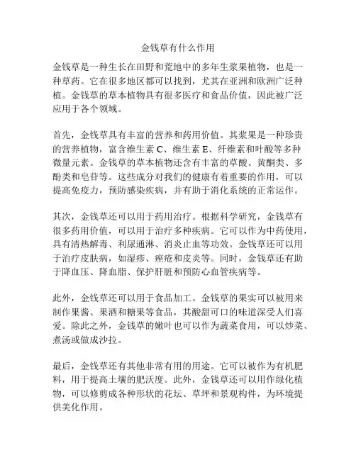 金钱草有什么作用