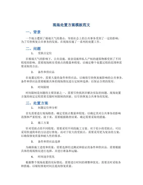现场处置方案模板范文