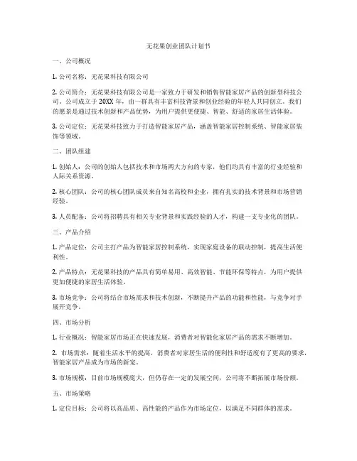 无花果创业团队计划书