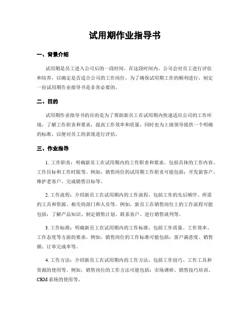 试用期作业指导书