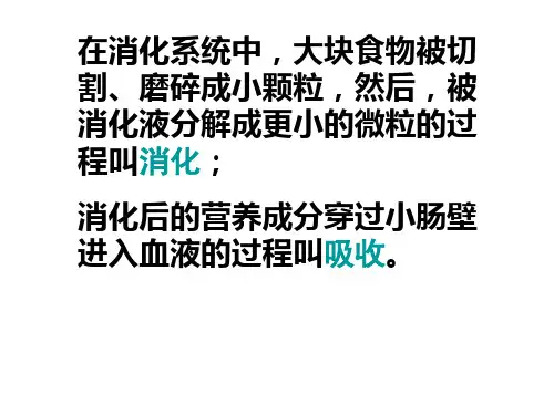 冀教版六年级科学下册第6课《呼吸与交换》PPT教学课件
