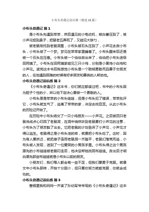 小布头奇遇记读后感（精选16篇）