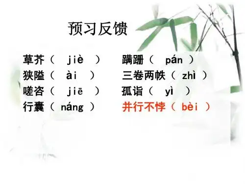 假如我有九条命