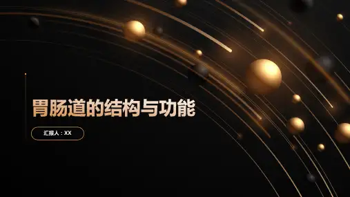 胃肠道的结构与功能