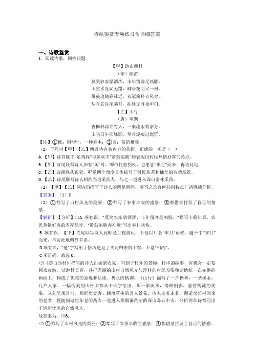 诗歌鉴赏专项练习含详细答案