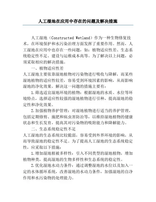 人工湿地在应用中存在的问题及解决措施