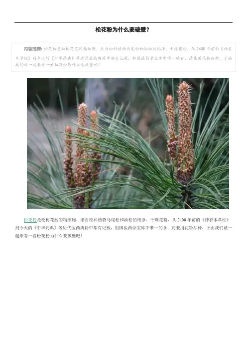 松花粉为什么要破壁