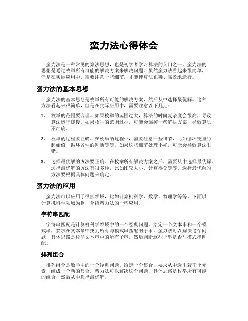 蛮力法心得体会