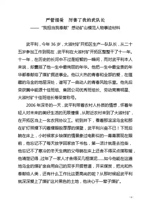 感动矿山人物事迹材料——武平利