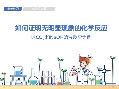 2023年中考化学复习课件-如何证明无明显现象的化学反应