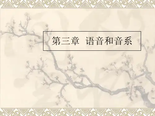 语音和音系专题知识