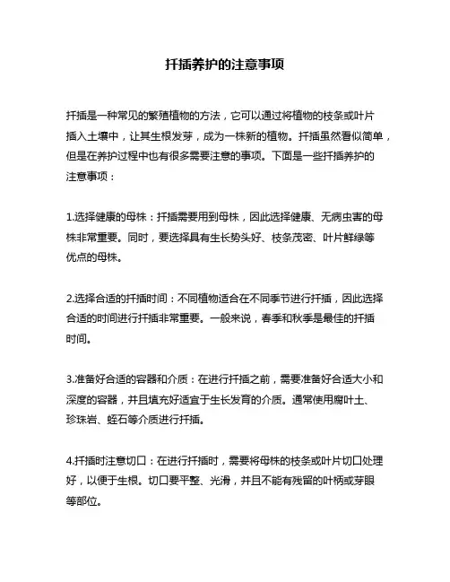 扦插养护的注意事项
