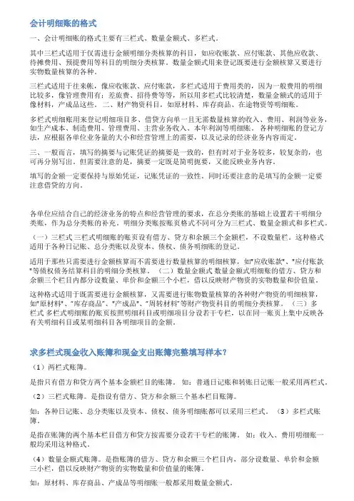 收入明细账范文