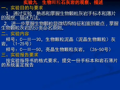 实验十、生物颗粒灰岩 沉积岩石学实验