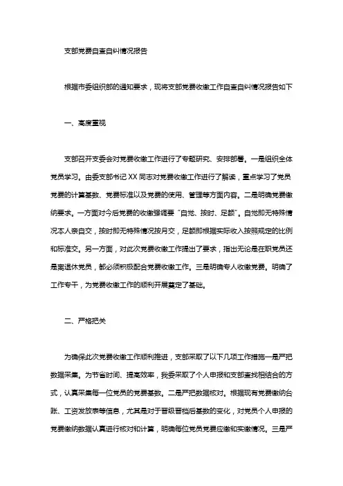支部党费自查自纠情况报告word版