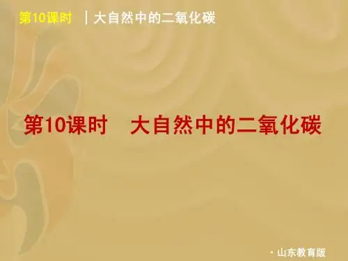 大自然中的二氧化碳