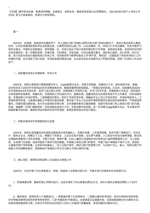 2019年统计局个人年终工作总结
