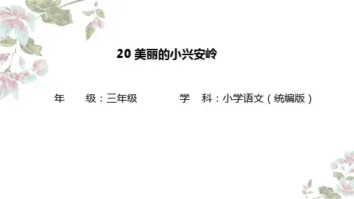 20.《美丽的小兴安岭》课件(共24张PPT)