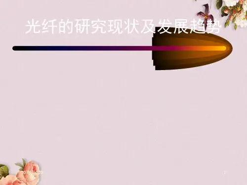 光纤的研究现状及发展趋势讲义(PPT 68页)