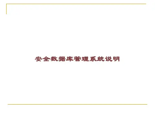 安全数据库管理系统说明课件