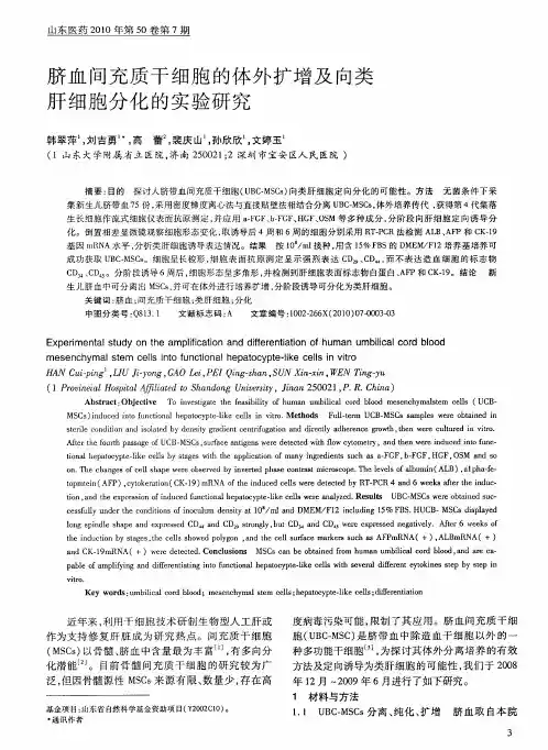 脐血间充质干细胞的体外扩增及向类肝细胞分化的实验研究