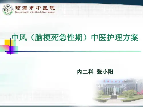 中风中医护理方案