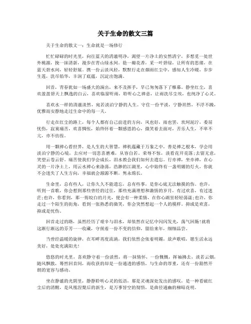 关于生命的散文三篇