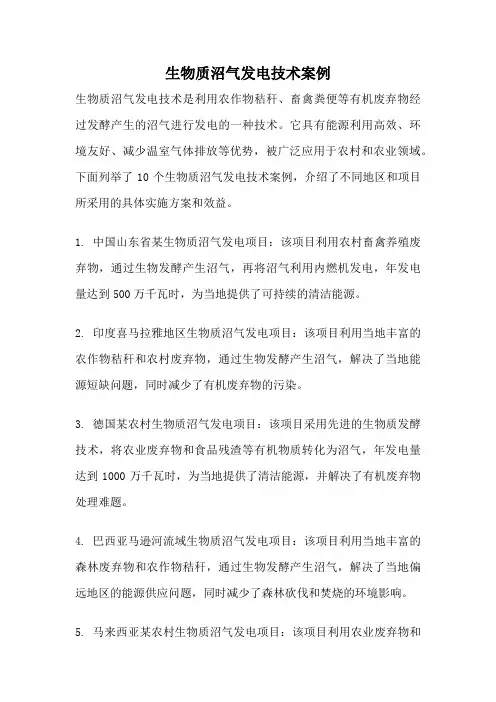 生物质沼气发电技术案例