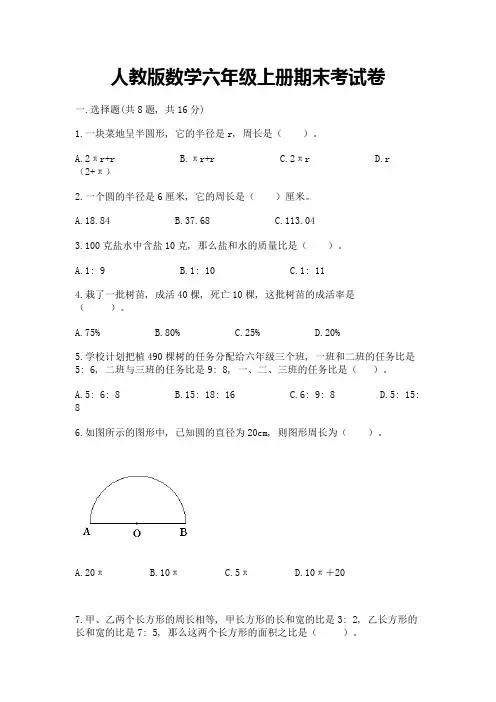 人教版数学六年级上册期末考试卷含答案(典型题)