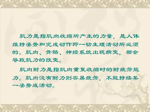肌力和耐力训练