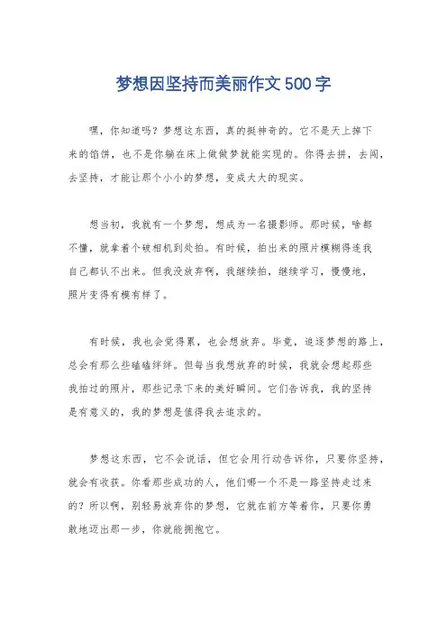 梦想因坚持而美丽作文500字
