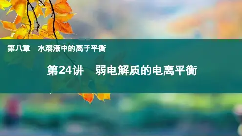 第24讲弱电解质的电离平衡-2024-2025学年高考化学一轮复习课件